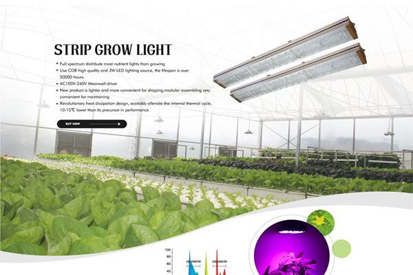 哪5个重要成分会影响LED灯的使用寿命